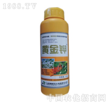 ��������-�S���