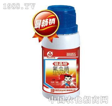 5%���x��-�J���أ�ƿ��