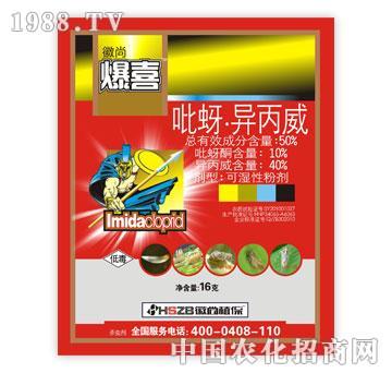 ����-����������