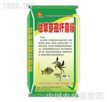 ��ɽ����-�ݲ�ѿ�ߗU����