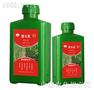 ������ˎ������������Һ�ķ�-Ħ����-��о���H