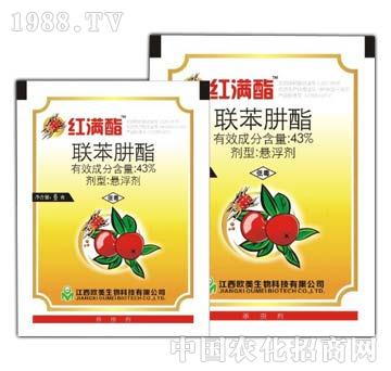 43%(li��n)������-�t�M��-����