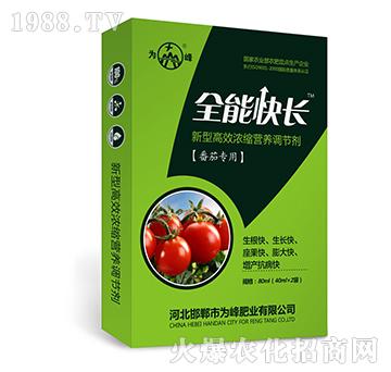 ȫ�ܿ��L(zh��ng)�����ь��ã�-���͸�Ч��s�I(y��ng)�B(y��ng)�{(di��o)��(ji��)��-���