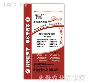 ��(f��)��΢�������-�Մ�(chu��ng)