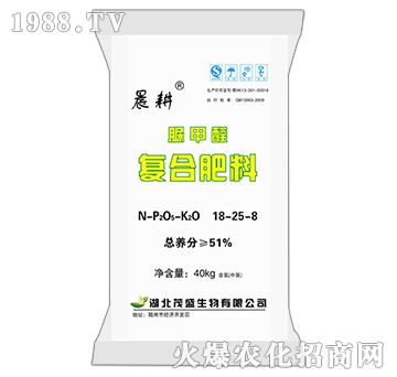 ���ȩ�ͺϷ���18-25-8-����-ïʢ