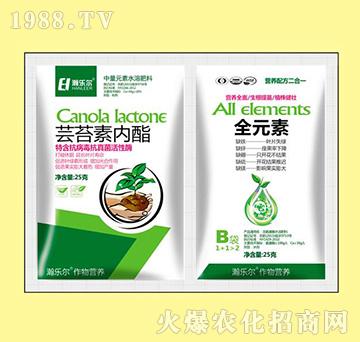 �|̦�؃�(n��i)��+ȫԪ��-嫘���