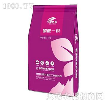 ����һ�@-������-�d�_(d��)����