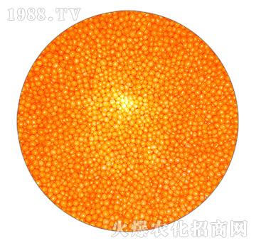 ���Sɫ��֬��Ĥ����-���r(n��ng)�ʘI(y��)