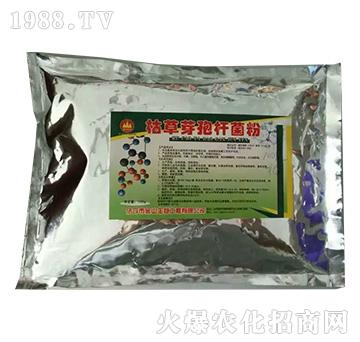 �ݲ�ѿ�ߗU����-��ɽ����