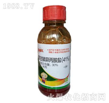 41%�ݸ�좮������}-�t�z�^-�Z������