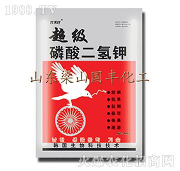 ����(j��)��������-��ɽ��(gu��)�S