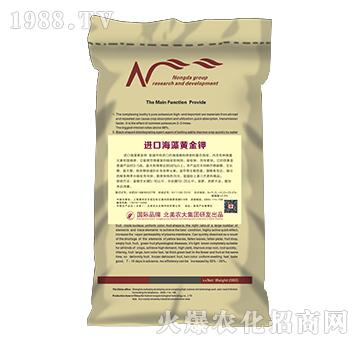 �M�ں����S���-�����r��