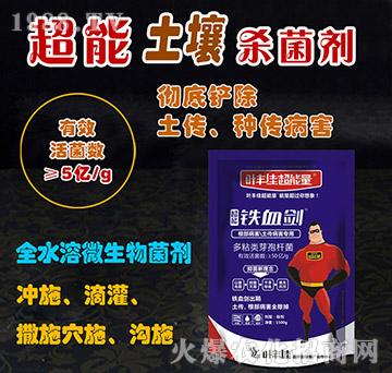 ����������������������-�FѪ��-�~�S�ѳ�����