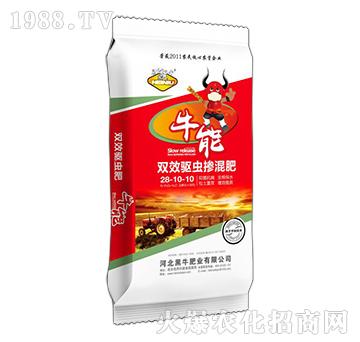 �pЧ��x�����28-10-10-ţ��-��ţ�ʘI(y��)