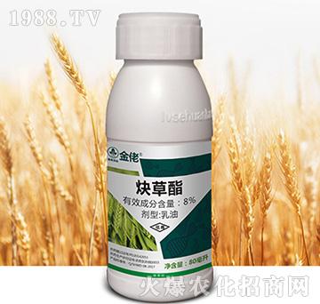 8%Ȳ����-����-�к����_