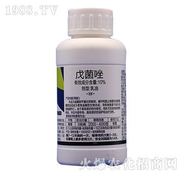 10%�����-�̩