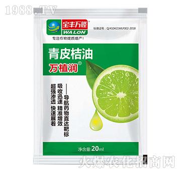 ��Ƥ����-�f(w��n)ֲ��(r��n)-���S�f(w��n)¡