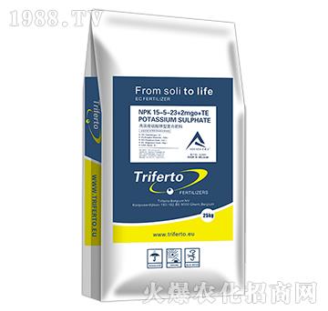 �ߝ��������͏ͺϷ���-15-5-23+2MgO+TE-���\