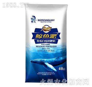 �~(y��)���׾�ጷ���18-22-5-�L�~(y��)��-����