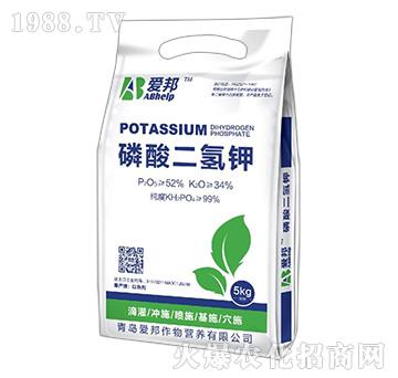 ��������-�۰�