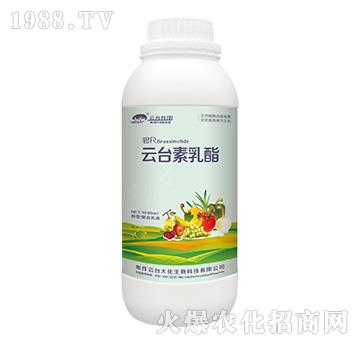 ���_(t��i)������������Һ-���_(t��i)��