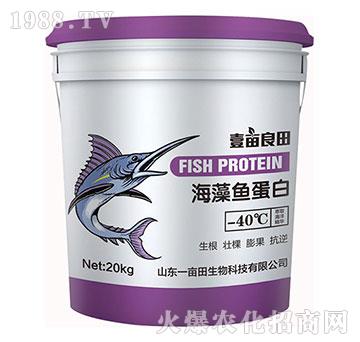 �����~����-Ҽ������