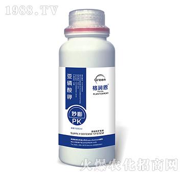 �������-����-�񝙶�