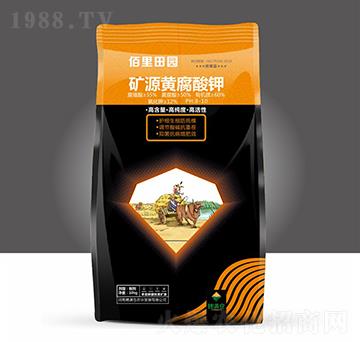 �VԴ�S�����-������@-��M�}