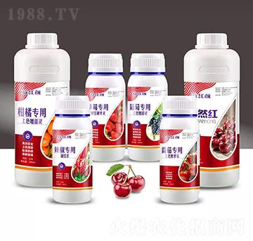 ��ɫ�����ײ�-��t�-��M�}