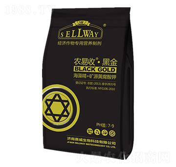 ���徫+�VԴ�S�����-�r���ա��ڽ�-ِ������