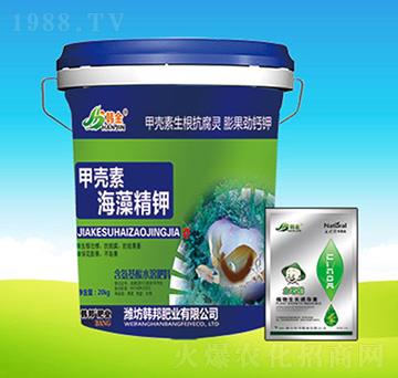 �ך��غ��徫�-�n��ʘI(y��)