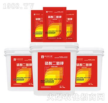 ��������-�����Z����