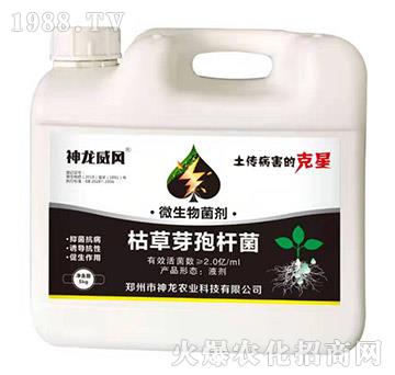 �ݲ�ѿ�ߗU��-�������L(f��ng)-�����r(n��ng)�I(y��)