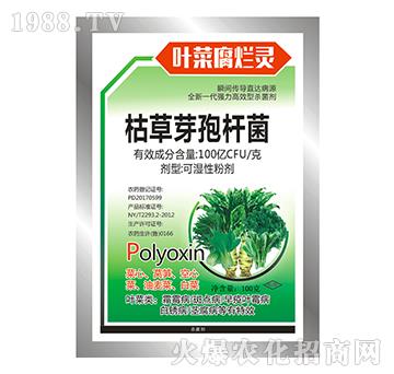 �ݲ�ѿ�ߗU��-�~�˸����`-���S�r(n��ng)ˎ