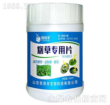 ���݌���Ƭ-�����S