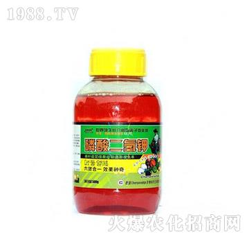 ��������-� �����