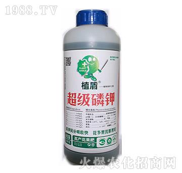 ����(j��)���-ֲ��-� �����