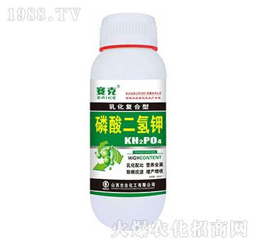 ��������-ِ��-�_(t��i)�_(d��)