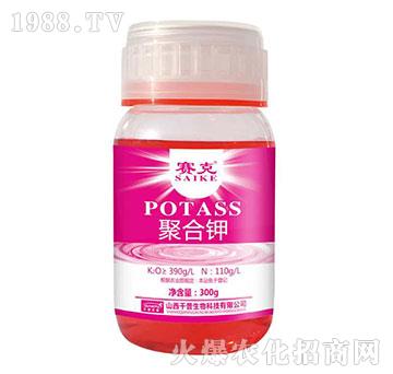 �ۺ��-ِ��-�_�_