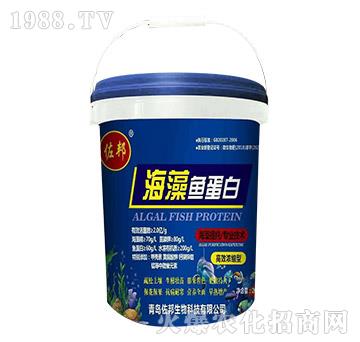 �����~����-����