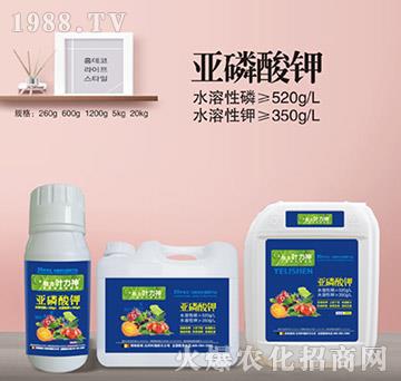 �������-ʩ����