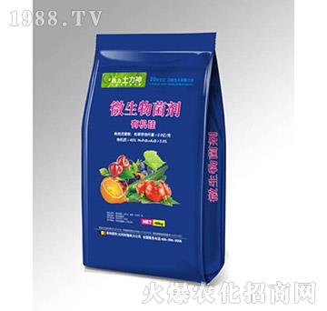 �ЙC(j��)��-΢�������-ʩ����