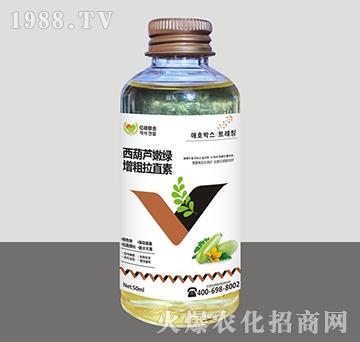 �����J�۾G������ֱ��-�R�Sֲ��