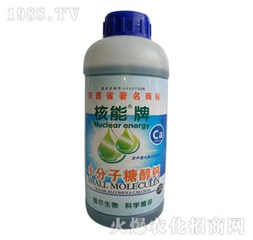 ������С�����Ǵ��}-��?t��ng)����? width=