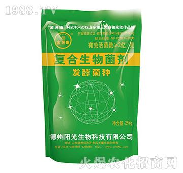 ��(f��)���������-�l(f��)�;��N-�(y��ng)������