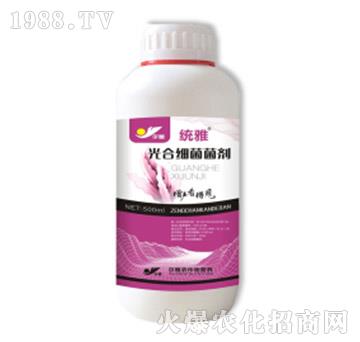 ��ϼ�������-�y(t��ng)��-Ǭ�r(n��ng)