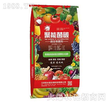 ΢�������-���ܾ�̼-�P�L��