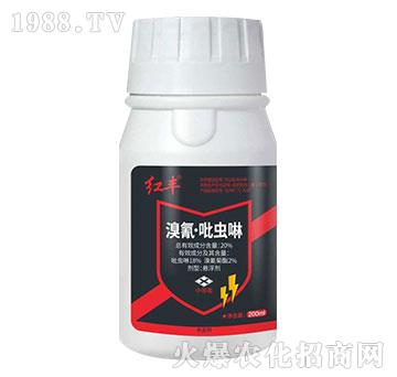 20%���衤���x��-�t�S-Ӣ����