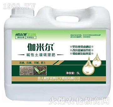 �A�������{����-٤�נ�-ľ�̼ь�