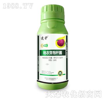 ����ѿ�ߗU��-���P-��(gu��)�S���@